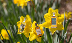 Best Sweet & Floral Whiskies for Spring