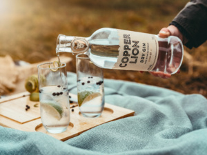 Top 10 Gins for Spring
