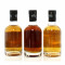 Springbank Open Day 2022 Releases x3