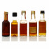 Assorted North American Whiskey Minaitures x5
