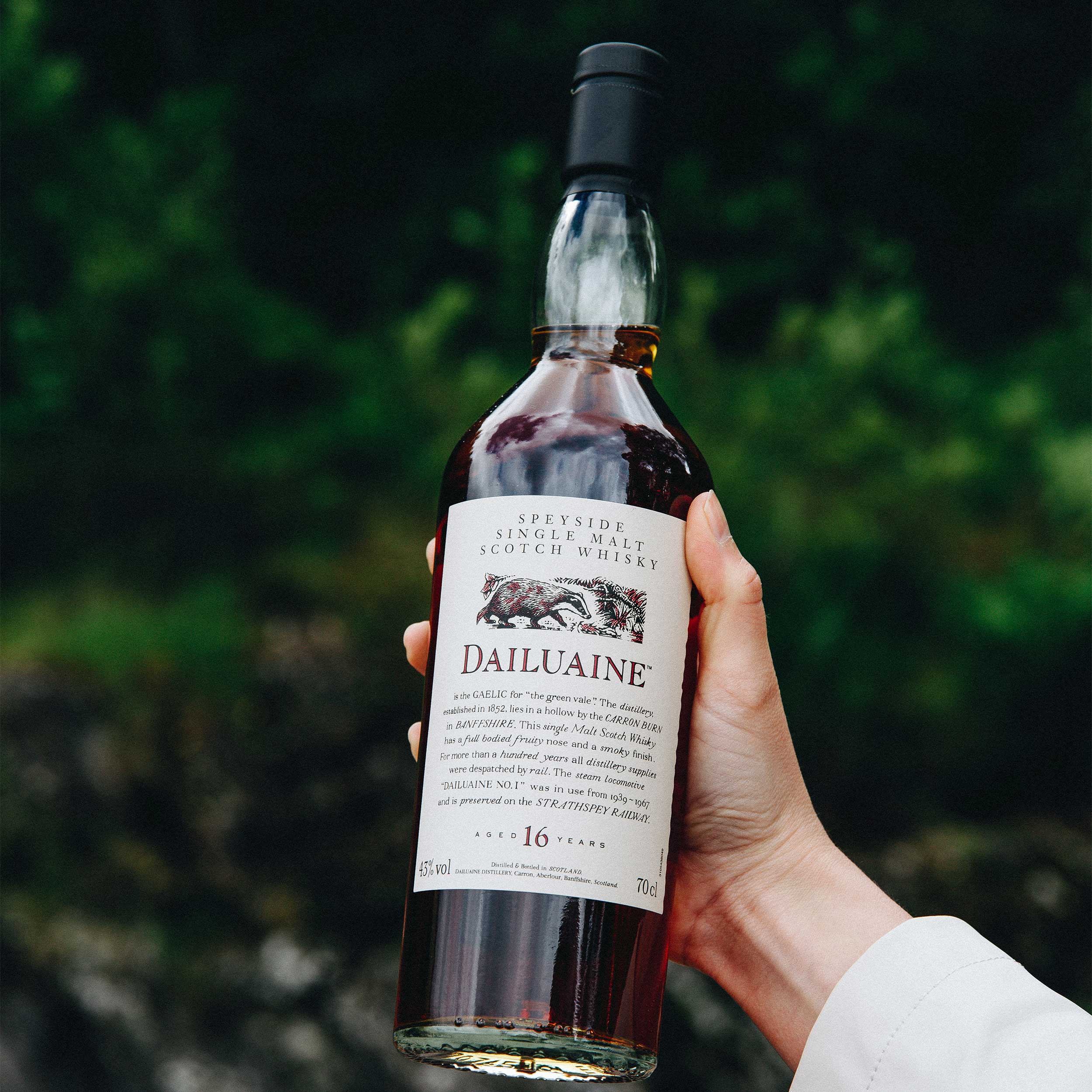 Dailuaine 16 Year Old | The Whisky Shop