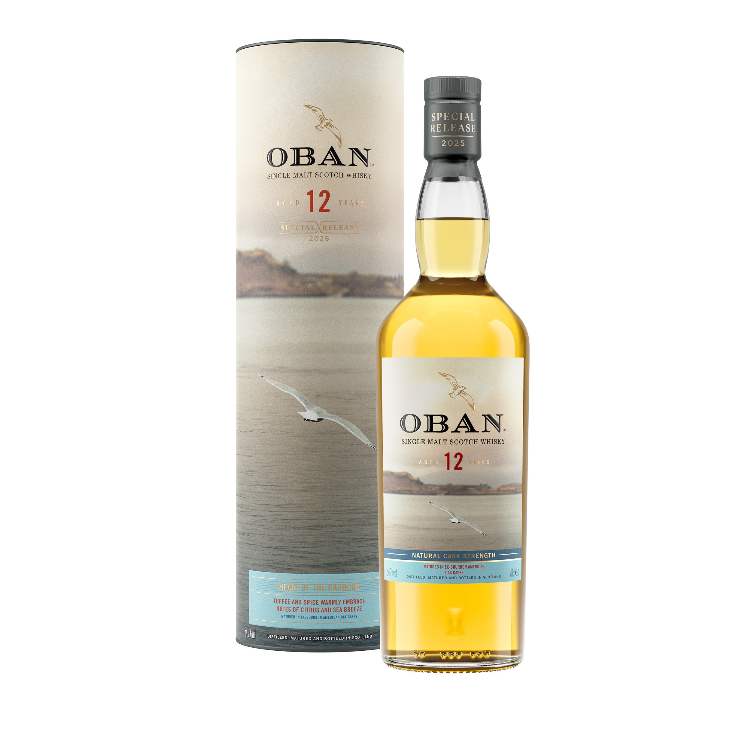 【超希少】OBAN 12 Years Whisky Oban 12-Year-Old Special Release (Whisky Review)