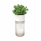 The Botanist Planter (with herbs)